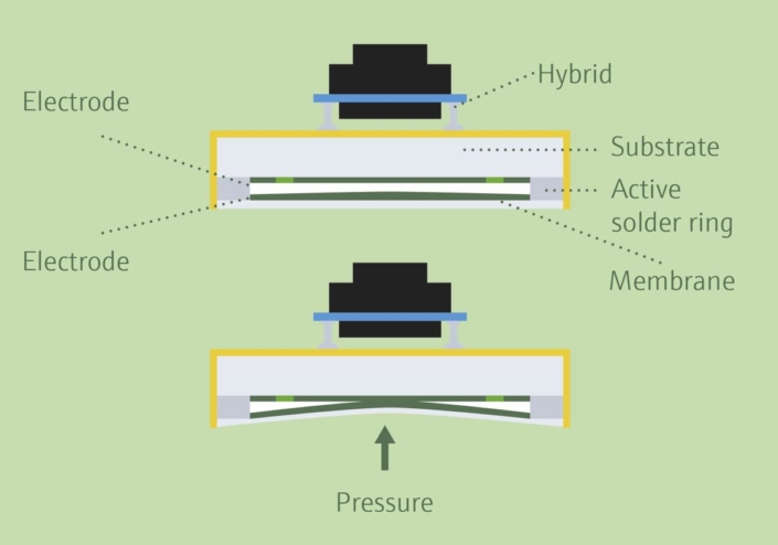 Absolute pressure sensor and gauge pressure sensor | Endress+Hauser ...